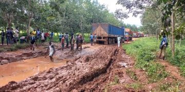 Axe Hermankono- Guitry: Le calvaire des producteurs de café cacao
