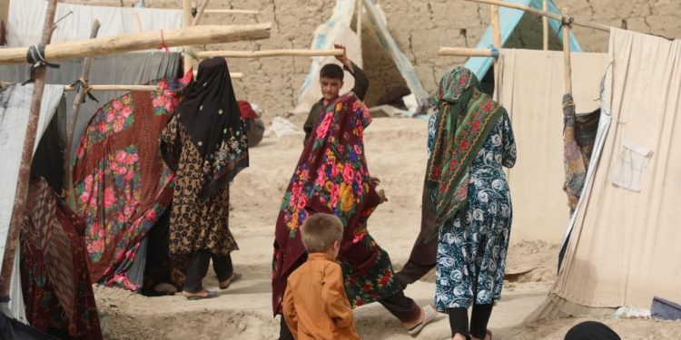 Afghanistan: Le gouvernement en quête de reconnaissance et de l’aide humanitaire