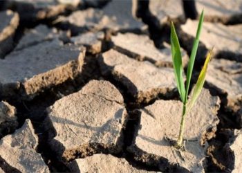 CICR/Presse: Lancement du concours régional de reportage humanitaire 