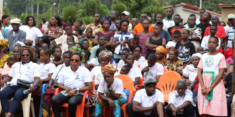 Biankouma: 6 villages connectés au réseau électrique fêtent la lumière