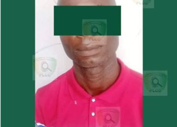 Apologie de la pédophilie sur internet: Un dangereux cybercriminel dans les mailles de la police