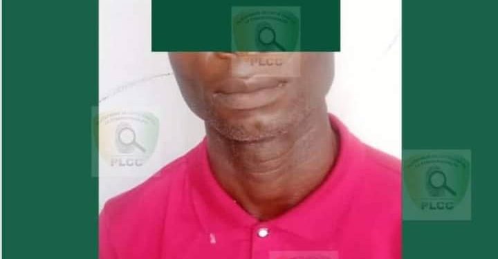 Apologie de la pédophilie sur internet: Un dangereux cybercriminel dans les mailles de la police