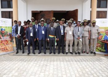 Côte d&rsquo;Ivoire : Les populations de Songon sensibilisées sur les maladies du manioc