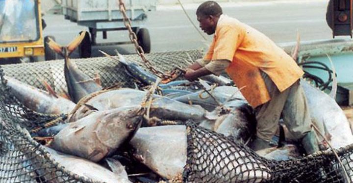 Ressources halieutiques: « La Côte d&rsquo;Ivoire ne produit que 17% de sa consommation en poissons » (Ministre)