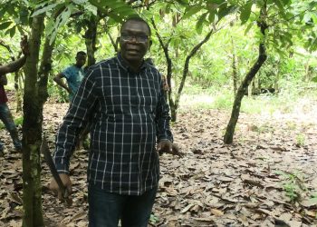 Prix Alassane Ouattara de la Meilleure coopérative café-cacao 2019, qui est Mohamed Ouédraogo?
