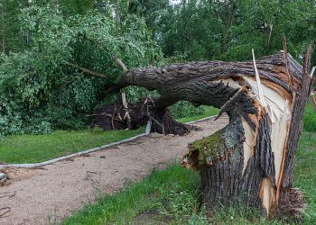Pluies diluviennes: 5 femmes Burkinabè dont 3 d&rsquo;un même époux tuées à Dignago 