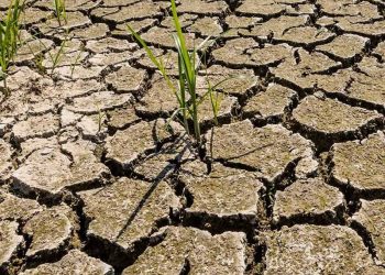 Côte d’Ivoire : Ouverture demain lundi à Abidjan de la COP 15