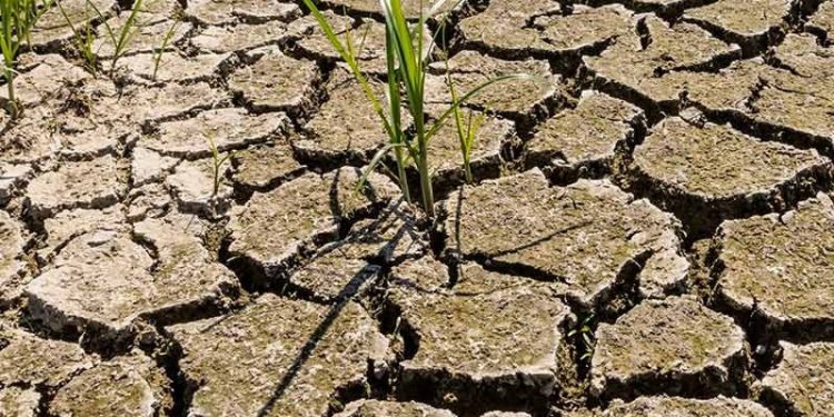 Côte d’Ivoire : Ouverture demain lundi à Abidjan de la COP 15