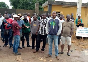 Côte d&rsquo;Ivoire: Début de la grève illimitée des producteurs