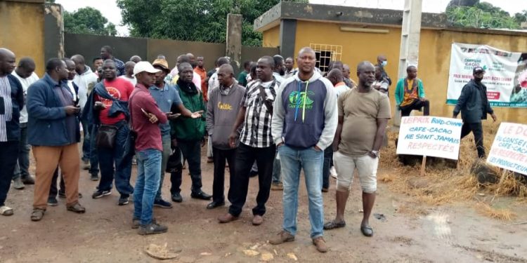 Côte d&rsquo;Ivoire: Début de la grève illimitée des producteurs