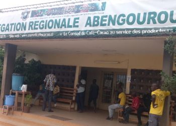 Grève des producteurs: Les délégations régionales de Café-Cacao de Man, Soubré, Abengourou et Agboville paralysées