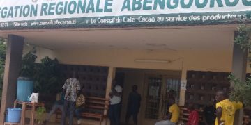 Grève des producteurs: Les délégations régionales de Café-Cacao de Man, Soubré, Abengourou et Agboville paralysées