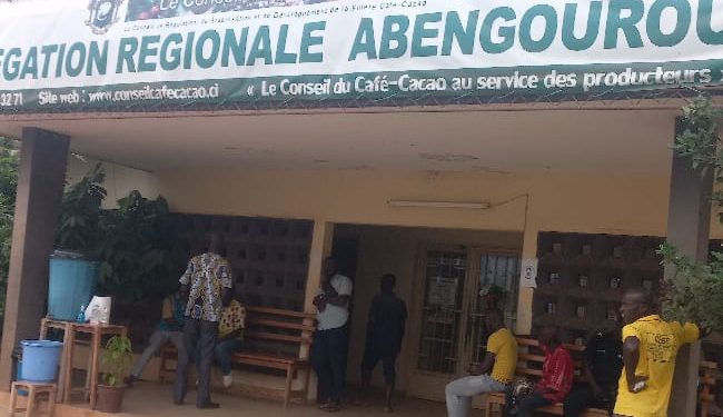 Grève des producteurs: Les délégations régionales de Café-Cacao de Man, Soubré, Abengourou et Agboville paralysées
