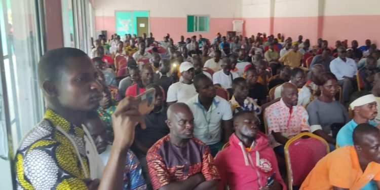 Café-cacao : La Centrale syndicale agricole à la rencontre des producteurs de San-Pedro, ce samedi