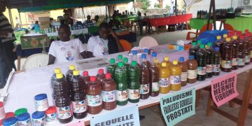La médecine et la pharmacopée traditionnelle : 2 Atouts majeurs de la santé publique en Afrique