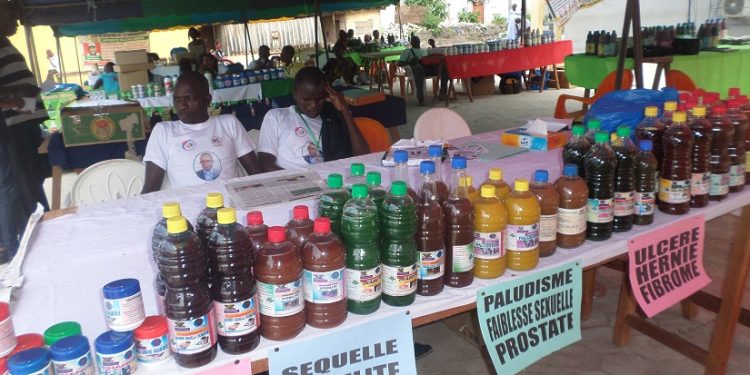La médecine et la pharmacopée traditionnelle : 2 Atouts majeurs de la santé publique en Afrique