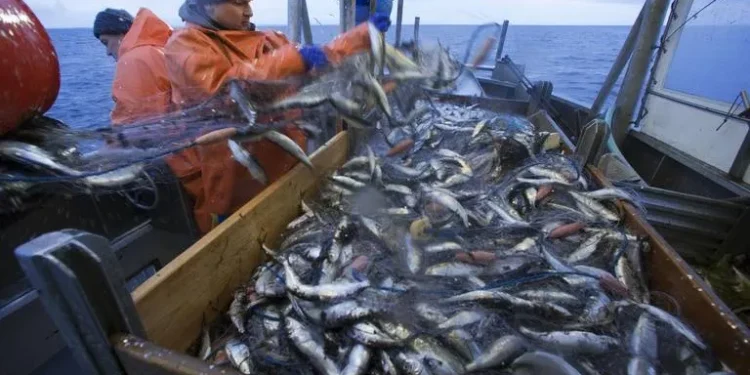 Haute mer: Les Marins pêcheurs en grève ce lundi contre les armateurs espagnols