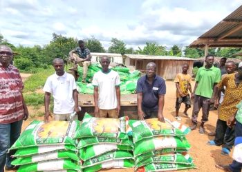 Fertilisation des plantations: La SOCAAN distribue des engrais à ses producteurs