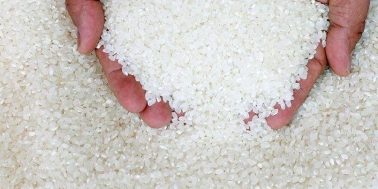 Côte d’Ivoire: Le gouvernement suspend l’exportation du riz local et du sucre