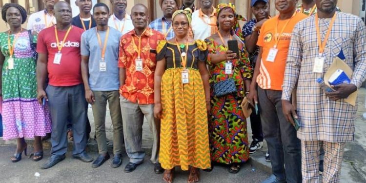 Café-cacao : «Les producteurs ne bénéficient pas de la montée des cours mondiaux» (Cesa-ci)