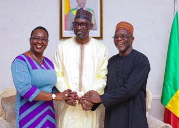 Alliance des États du Sahel : Une alternative à la CEDEAO?