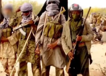 Mali : Un colonel rallie la filiale sahélienne d’Al-Qaida