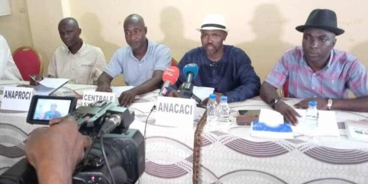 Café-cacao : La Centrale syndicale, l’Anacaci et l’Anaproci se désolidarisent d&rsquo;une grève annoncée pour jeudi