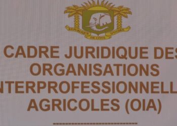 Café-cacao : Quand l&rsquo;Interprofession crée des protestataires, des suiveurs et des opportunistes