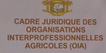 Café-cacao : Quand l&rsquo;Interprofession crée des protestataires, des suiveurs et des opportunistes