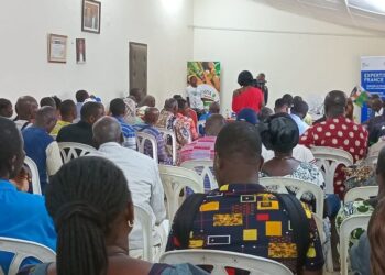 Équipements électriques : L’AFD et Expertise France vont équiper les producteurs de la SCINPA