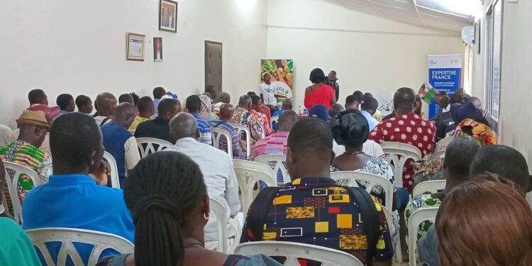 Équipements électriques : L’AFD et Expertise France vont équiper les producteurs de la SCINPA