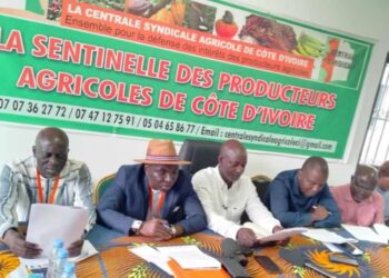 Café-Cacao : La Centrale syndicale agricole plaide pour le report de l&rsquo;application de la réglementation européenne