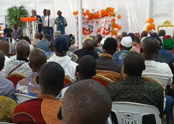 Défis de la filière Café-Cacao: L’Unscal-ci réaffirme son engagement aux côtés des autorités