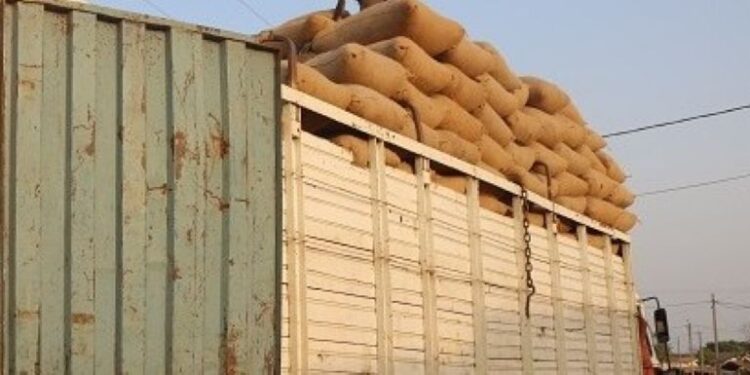 Exportation illicite du café: Dix personnes dont des agents publics interpellées à Bouaké et à Korhogo