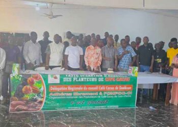 Café-cacao/ONPCC : Kiébré Seydou à la conquête des producteurs du Guémon