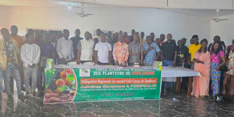 Café-cacao/ONPCC : Kiébré Seydou à la conquête des producteurs du Guémon