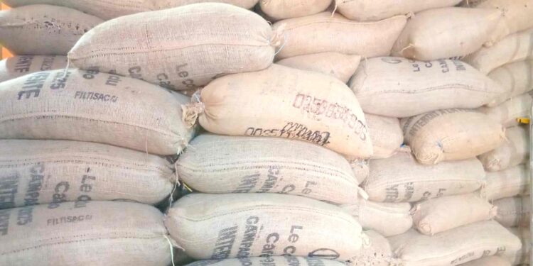 Café-cacao : 14 ans après la réforme, l’organisme de gestion et de régulation privé en gestation