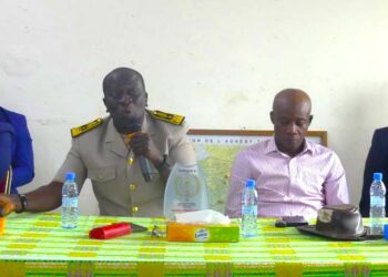 Café-cacao : La SCINPA réalise un chiffre d’affaires de plus de 10 milliards FCFA