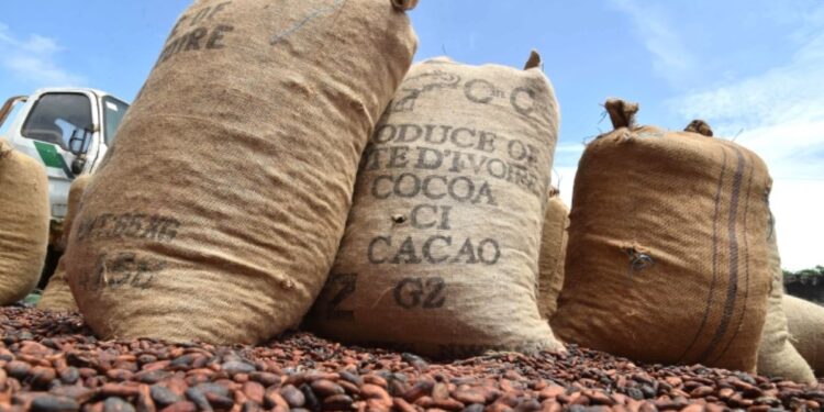 Gagnoa : Comment le camion chargé de 2 tonnes de Cacao braqué a été retrouvé