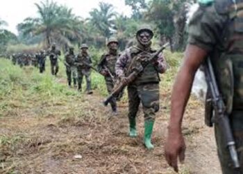 RDC : Offensive conjointe des armées congolaise et ougandaise contre les rebelles ADF