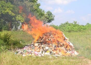 Côte d’Ivoire : Plus de 5 tonnes de drogues et médicaments illicites incinérés à Guiglo 