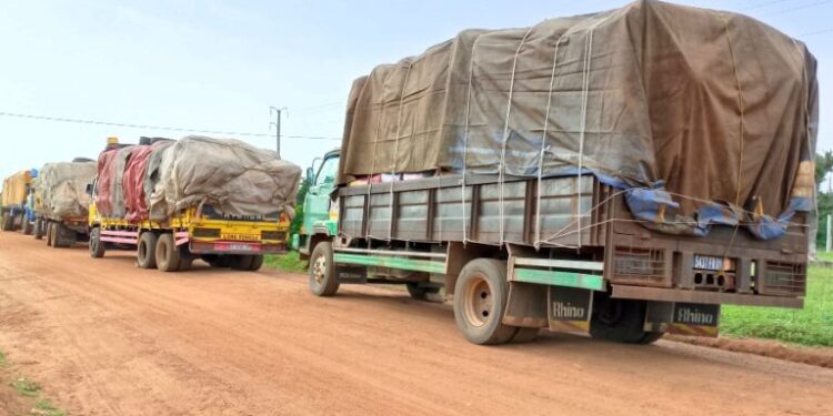 Bouna : Fin de cavale pour Marco, cerveau du convoi de 13 camions de noix de cajou vers le Ghana