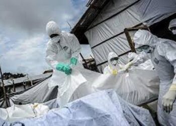 Nigéria : Déjà plus de 155 morts dans l’épidémie de fièvre de Lassa en 2025