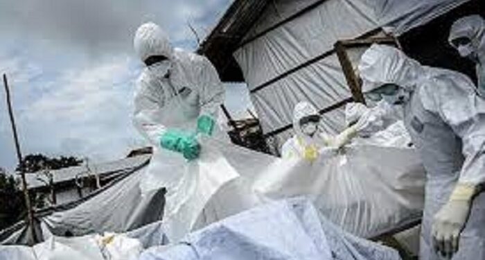 Nigéria : Déjà plus de 155 morts dans l’épidémie de fièvre de Lassa en 2025