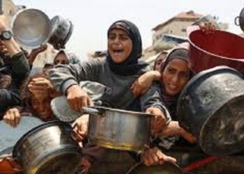 Crise humanitaire : L’ONU déclare officiellement l’état de famine à Gaza