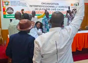 Café-cacao : Siaka Diakité élu président de l’interprofession, ce jeudi, à Yamoussoukro