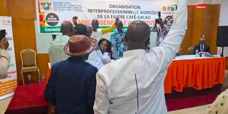 Café-cacao : Siaka Diakité élu président de l’interprofession, ce jeudi, à Yamoussoukro