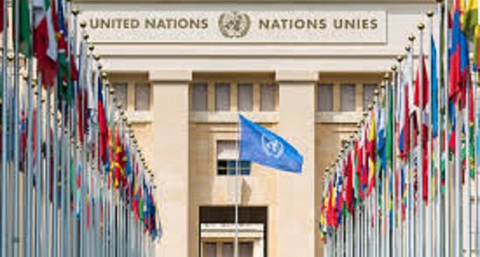 ONU : L&rsquo;Assemblée générale soutient la création d’un État palestinien sans le Hamas