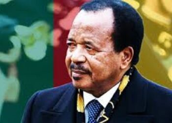 Cameroun : Plus de 320 000 nouveaux contribuables en 10 ans