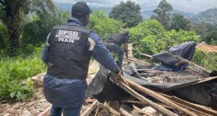 Man : Plus d’une soixantaine de fumoirs détruits et plus de 100 individus arrêtés